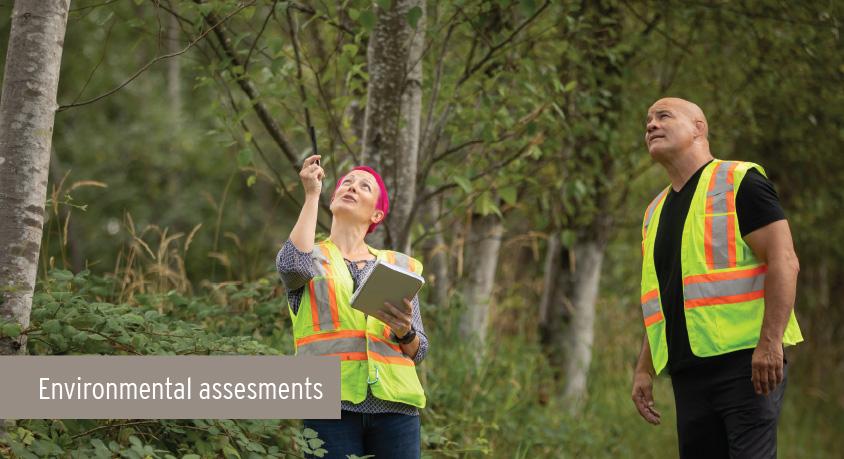 Caroline Astley and Greg Edgelow wear safety vests in a forested area. Caroline is looking and pointing up and Greg is looking where she is pointing