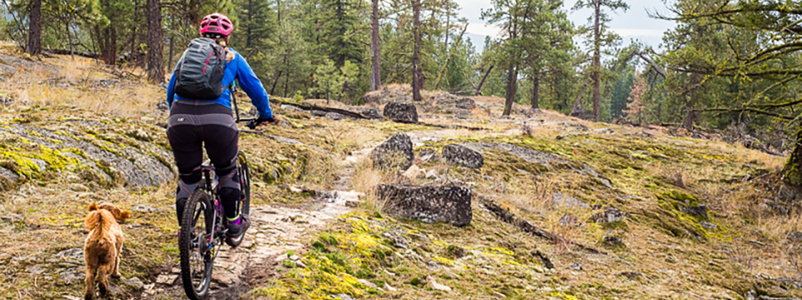 okanagan bike trail