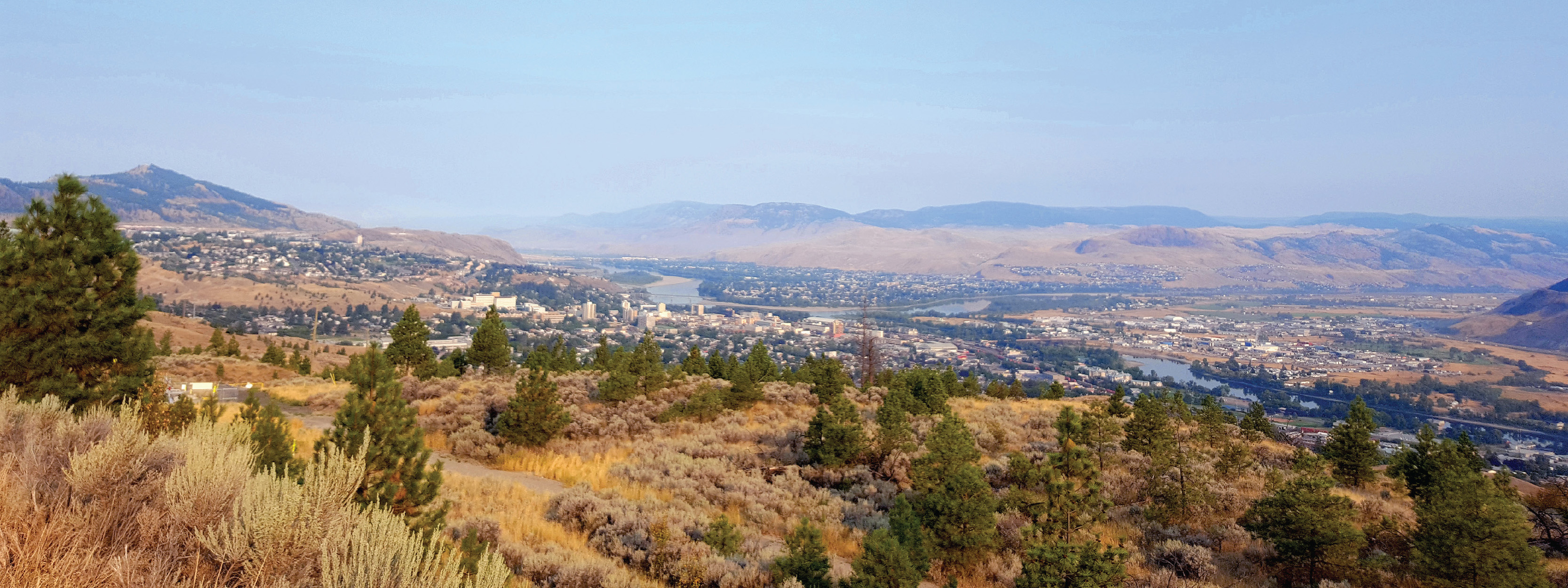 Invasive plant species study yields promising results | Talking Energy