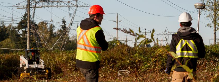 Workers with their back to the camera look over an electricity right of way