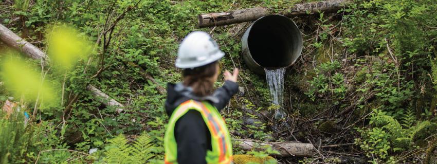 Woman stands in front of a culvert in the forest