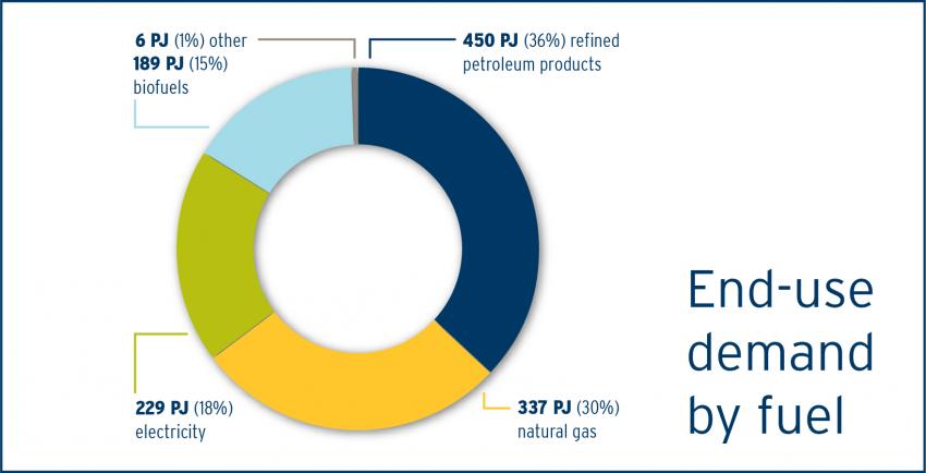 End use demand by fuel pie chart
