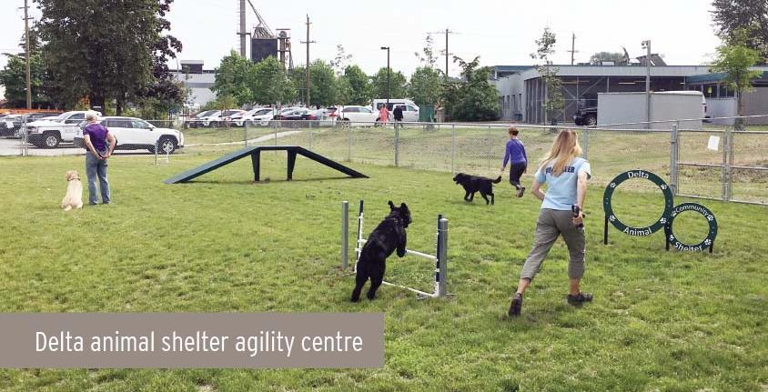 Delta animal shelter agility centre