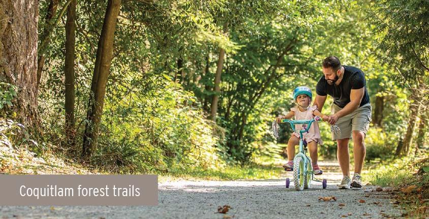 Coquitlam forest trails