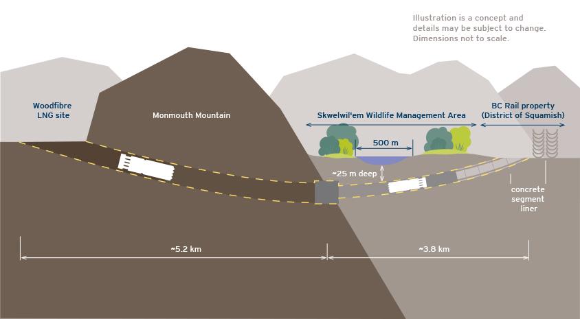 Monmouth mountain tunnel graphic