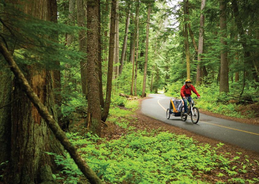 Cyclist towing a child in a bike trailer rides along a paved cycling path through a forest