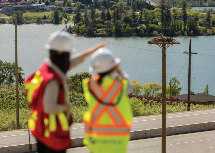 Two people in the foreground wear safety vests and point at an osprey nest on a nesting platform in the distance