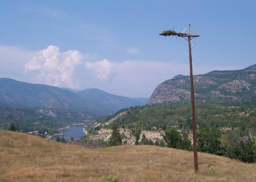 Osprey nest on a nesting platform with mountains and a lake in the background