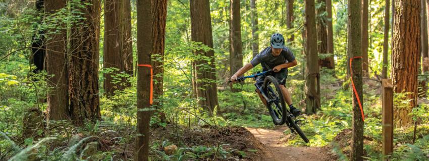 A mountain biker rides through Riverview forest trails