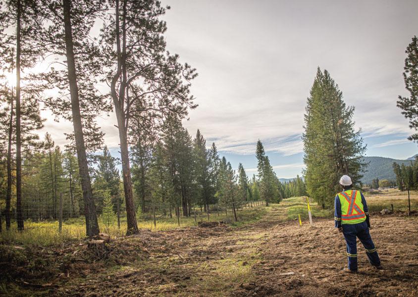 person stands with back to camera looking along a tree lined gas line right of way