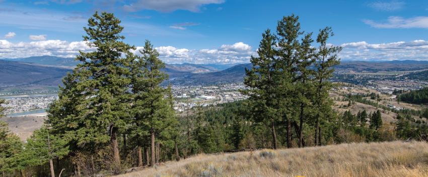 A view of Kamloops from Kenna Cartwright park