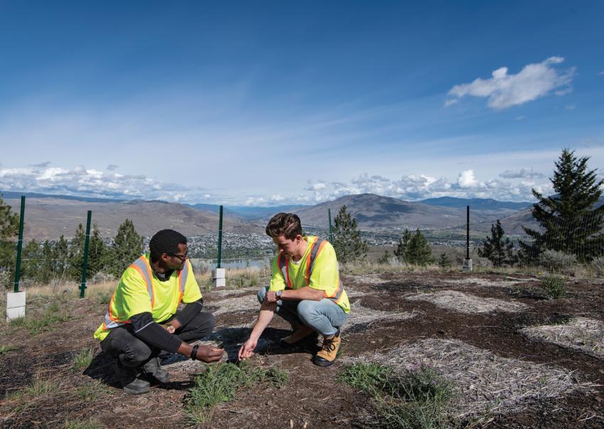 TRU researchers work in Kenna Cartwright Park in Kamloops