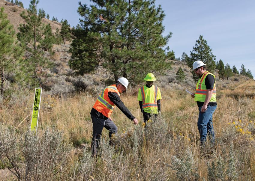 Workers inspect plants with FortisBC in Kenna Cartwright Park