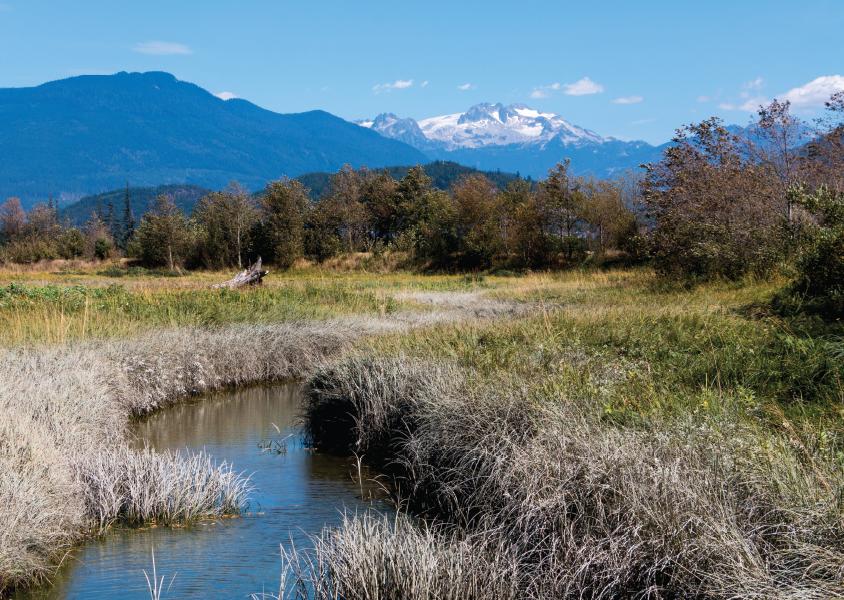 Squamish estuary