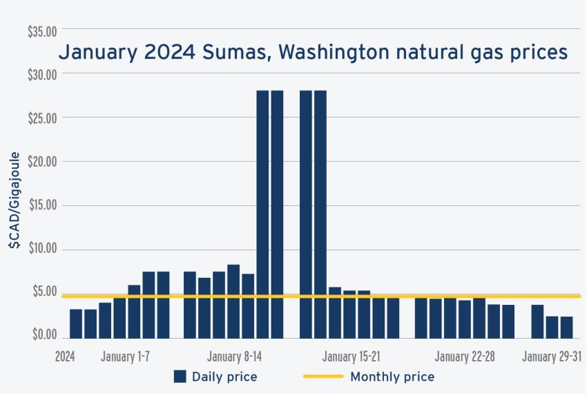 Graph of natural gas prices, from January 2024