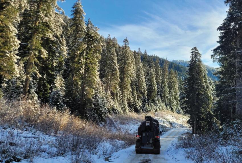 A truck driving down a forested road