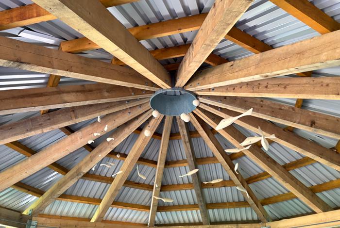 Under the roof in The Gathering Place, where students and teachers can learn about nature in all kinds of weather. The suspended carvings shows a shoal of salmon to represent their lifecycle.